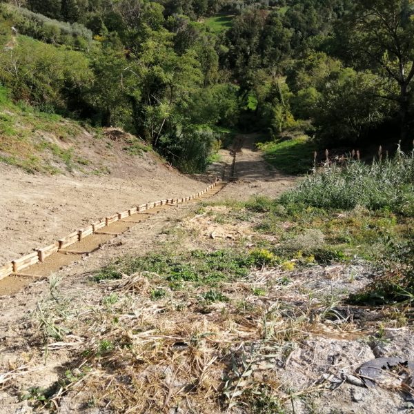 Consolidamento Canalizzazione a Pali e Rete (3)