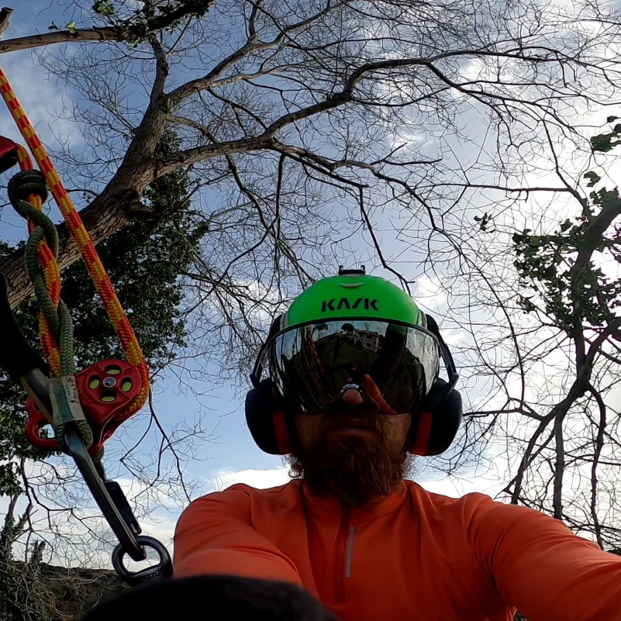 Giardinaggio Lavori su Fune Abbattimento Alberi L