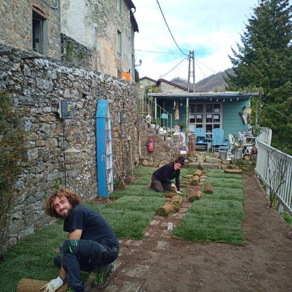 Giardinaggio Posa Tappeti Erbosi Livorno Pisa Lucca (2)