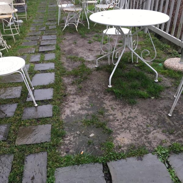Giardinaggio Posa Tappeti Erbosi Livorno Pisa Lucca (4)
