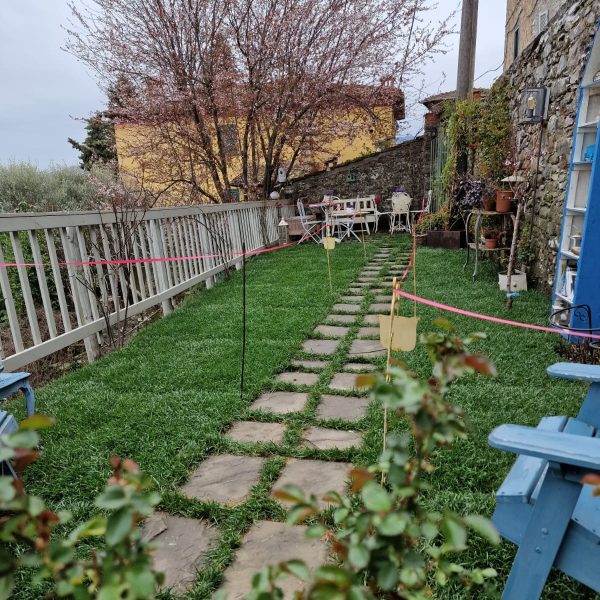 Giardinaggio Posa Tappeti Erbosi Livorno Pisa Lucca (7)