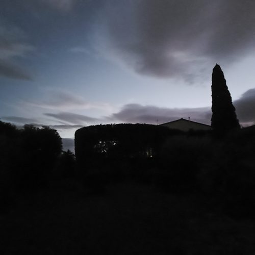 Giardinaggio Taglio Siepi 4 Alloro Pisa