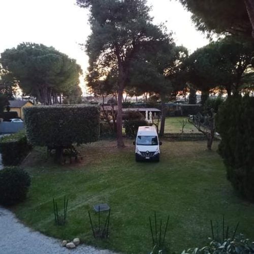 Giardinaggio Taglio Siepi Livorno (3)