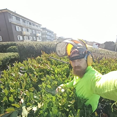Giardinaggio Taglio Siepi Livorno (5)