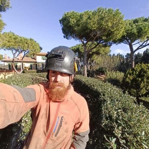Giardinaggio Taglio Siepi Livorno