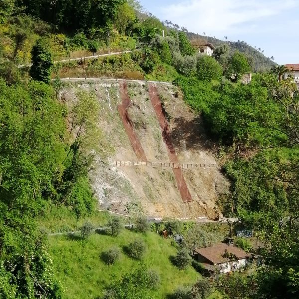 IMG-20210510-WA0017
