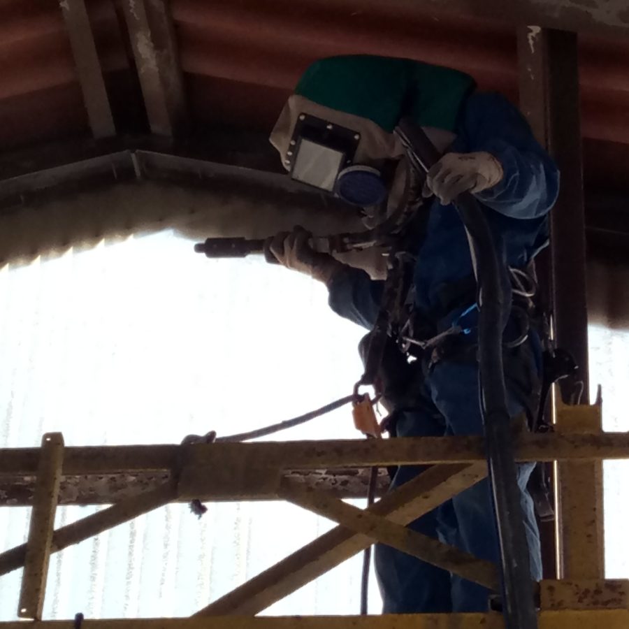 Lavori in Quota su Fune Livorno Pisa Lucca (7)