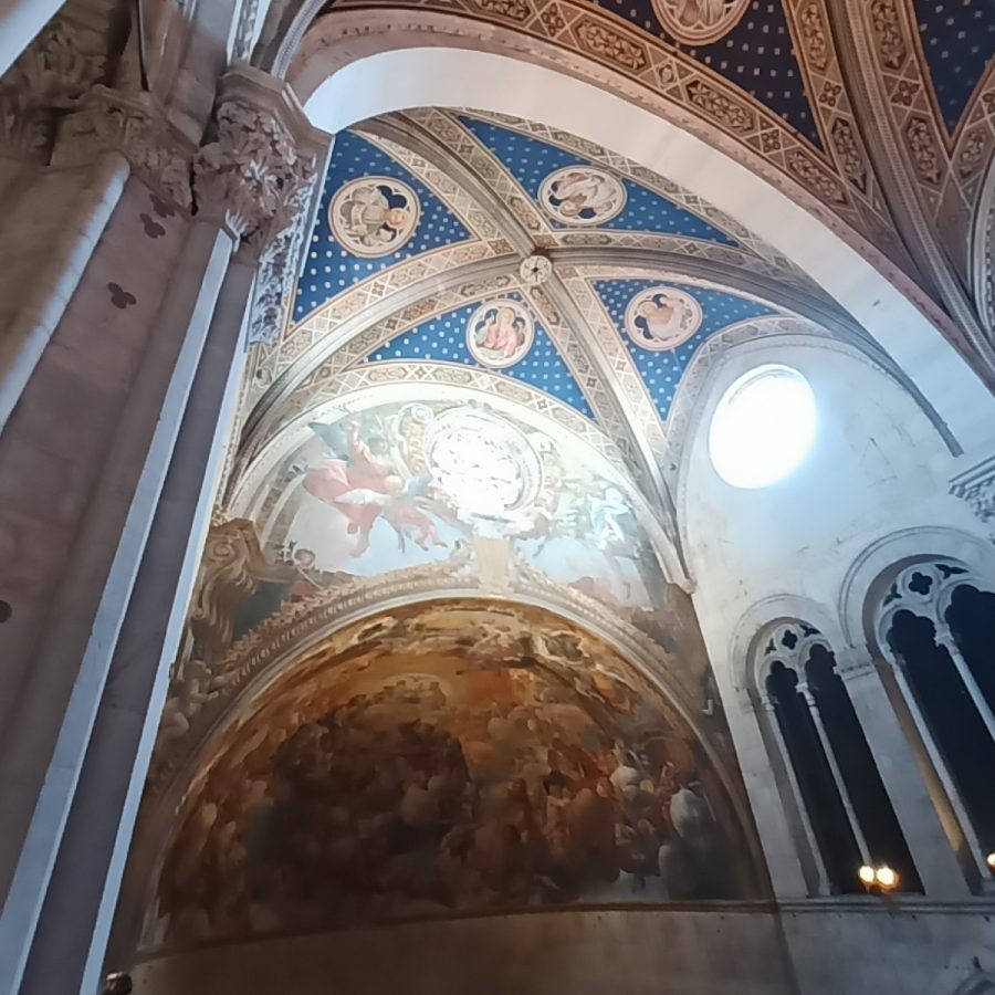 Lavoro su Fune Riparazioni Installazione Manutenzione Livorno Pisa Lucca Firenze (15)
