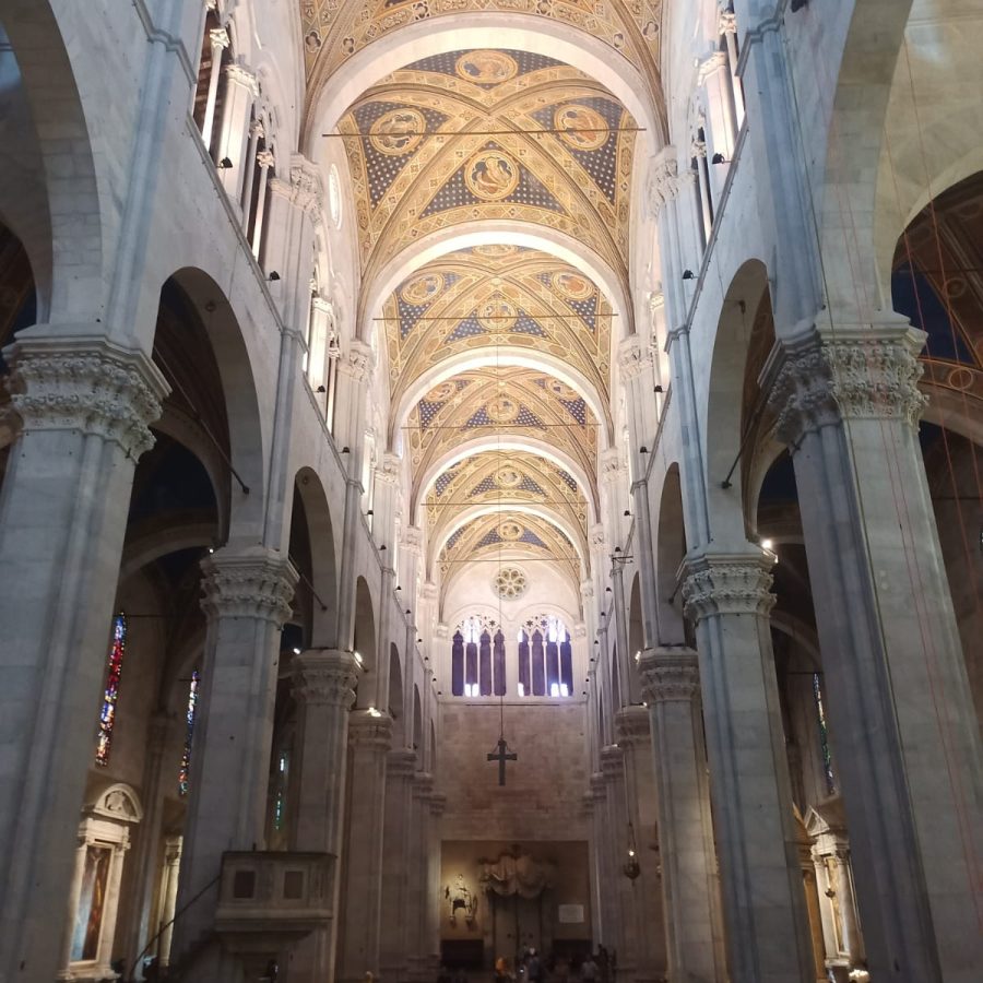 Lavoro su Fune Riparazioni Installazione Manutenzione Livorno Pisa Lucca Firenze (17)