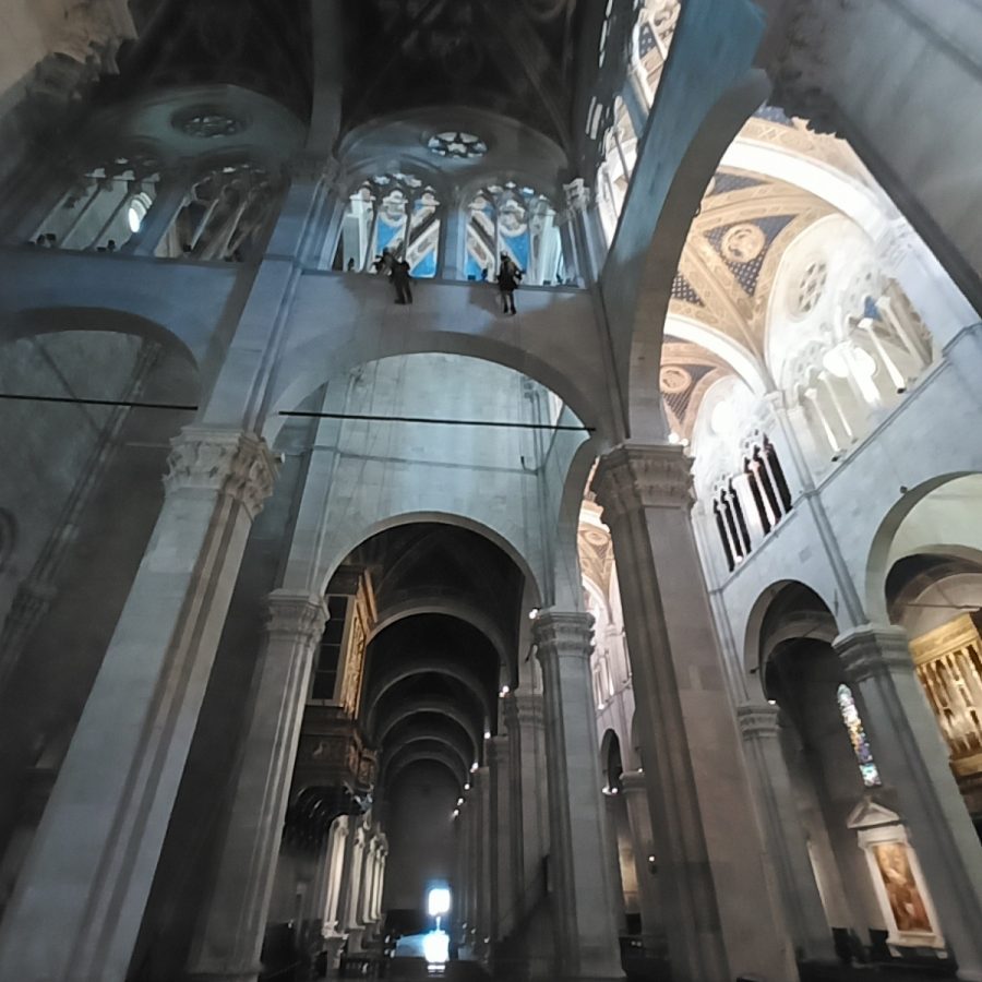Lavoro su Fune Riparazioni Installazione Manutenzione Livorno Pisa Lucca Firenze (7)