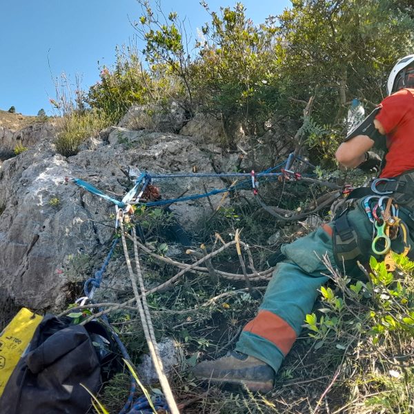 Messa In Sicurezza Disgaggio Caprona Pisa (11)