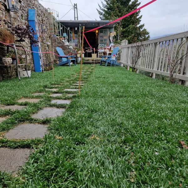 Posa Tappeti Erbosi 8 Lucca
